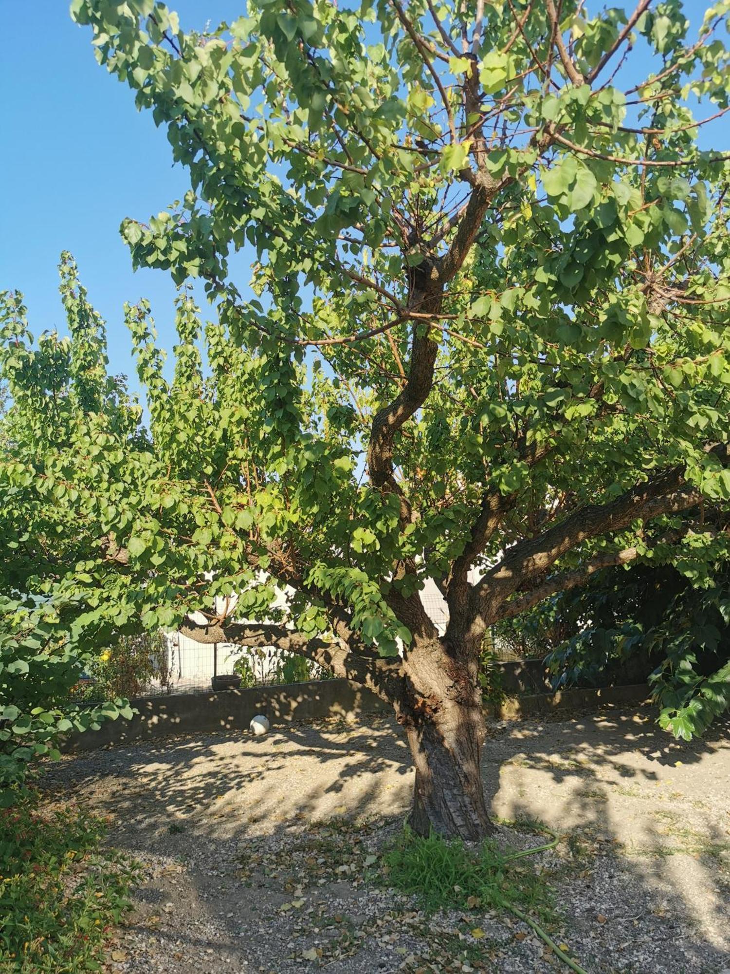 Villa Dans Le Sud Lunel  Exterior photo